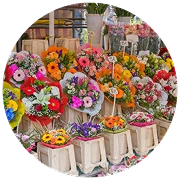 Floricultura